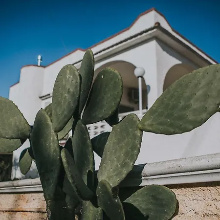 Paradiso Villa-2